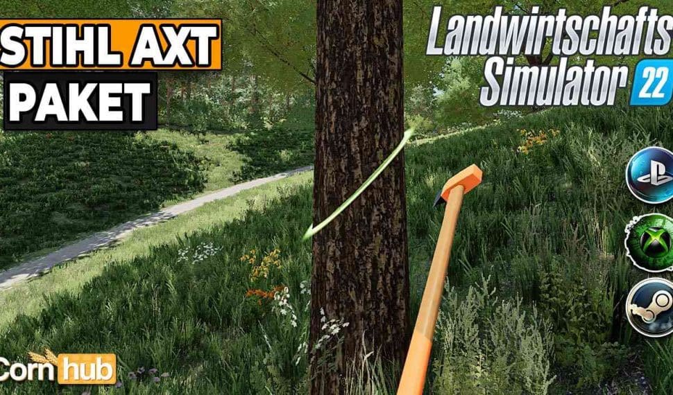 LS22 Stihl Axt Paket