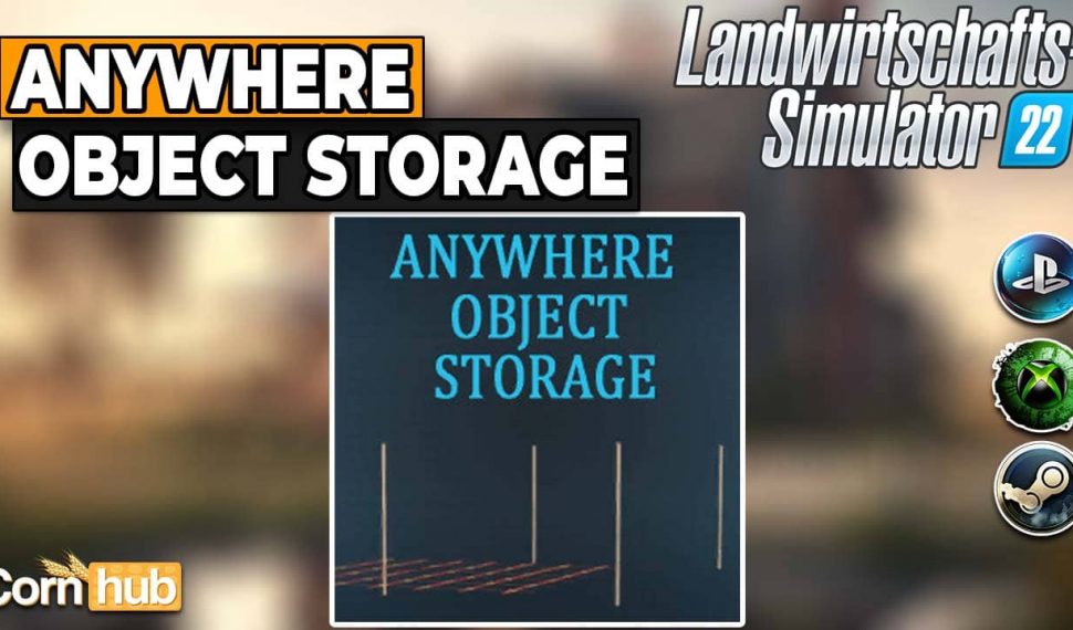 LS22 Anywhere Object Storage