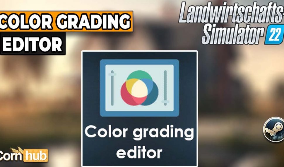 LS22 Color Grading Editor
