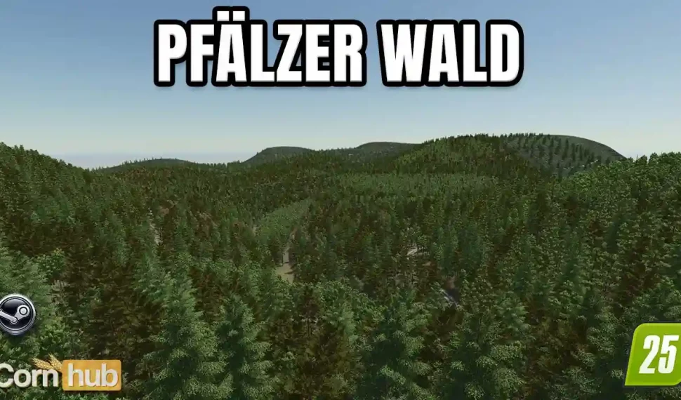 LS25 Pfälzer Wald