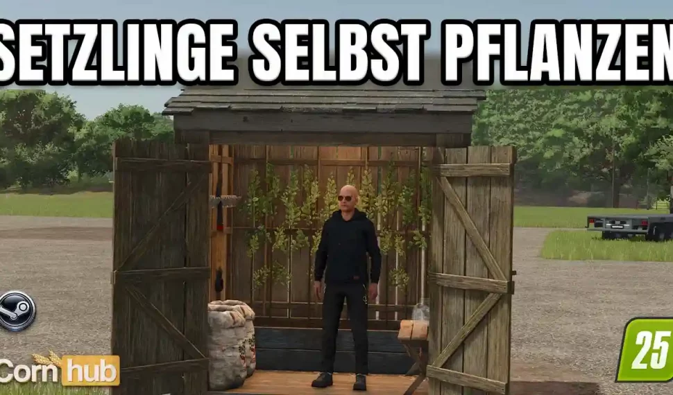 LS25 Setzlinge selbst pflanzen