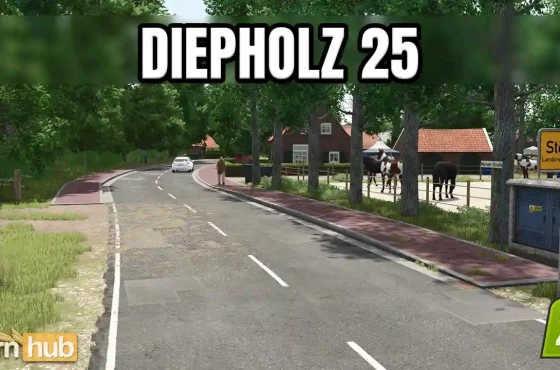 LS25 Diepholz 25