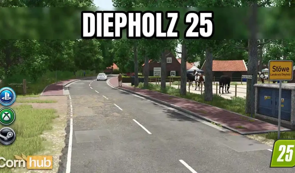 LS25 Diepholz 25